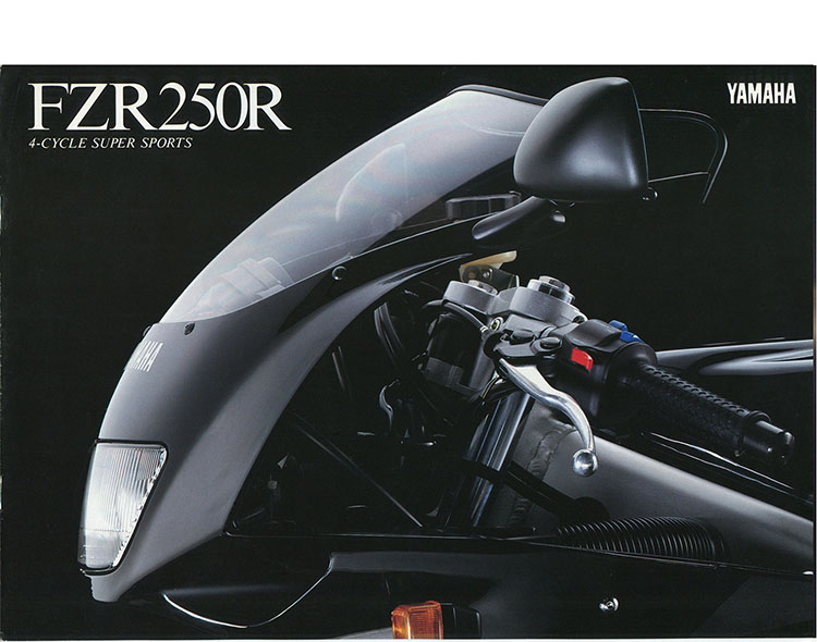 FZR250R(3LN3)